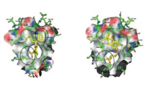 Diabetes, metabolic syndrome in mice treated with novel class of compounds