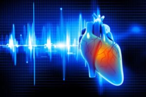 Cardiovascular inflammation, heart failure focus of $6 million grant