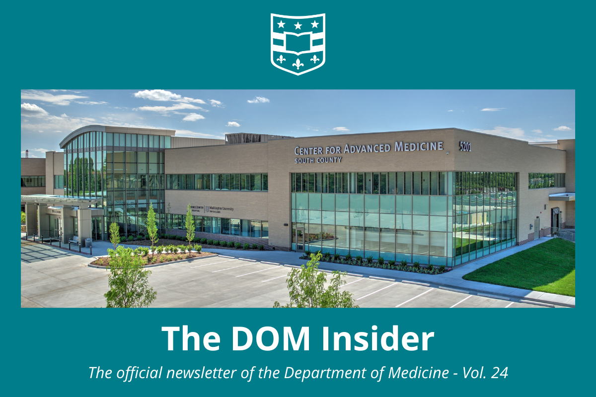 The DOM Insider Vol 24