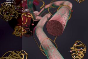 Diwan Lab Publishes Cover Story in Journal of Clinical Investigation