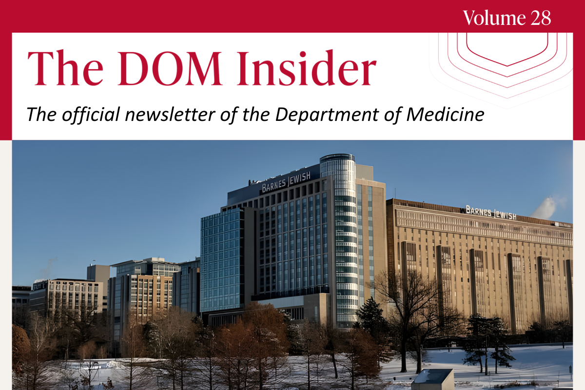 The DOM Insider vol. 28