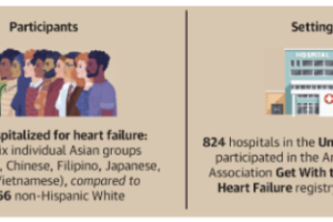 Global Health Researchers Find Care Disparities Among Asian Heart Failure Patients in US