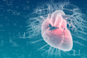 Small proteins in heart play big role